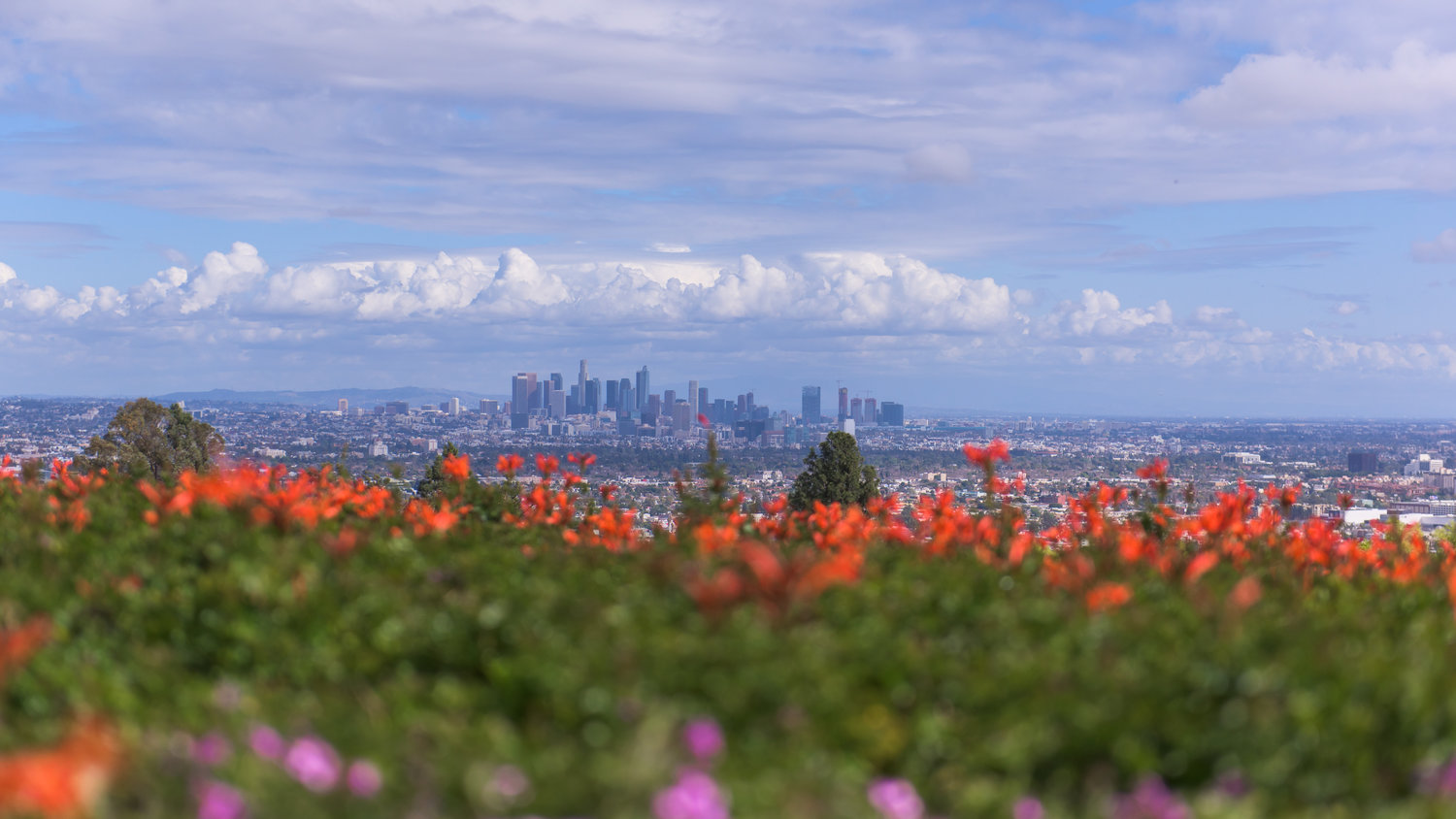 The Mockingbird Mansion