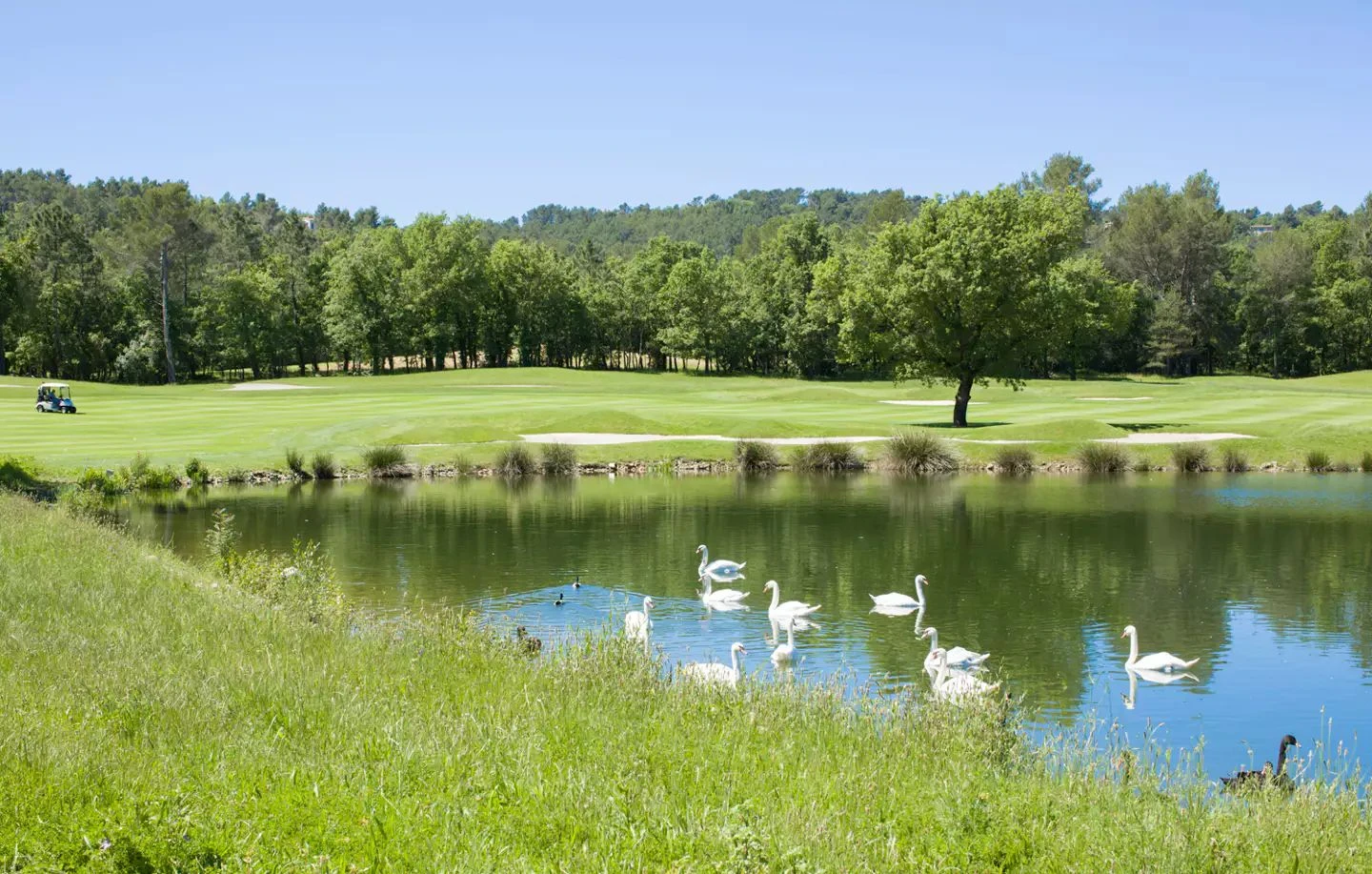 The Bergerie Mansion