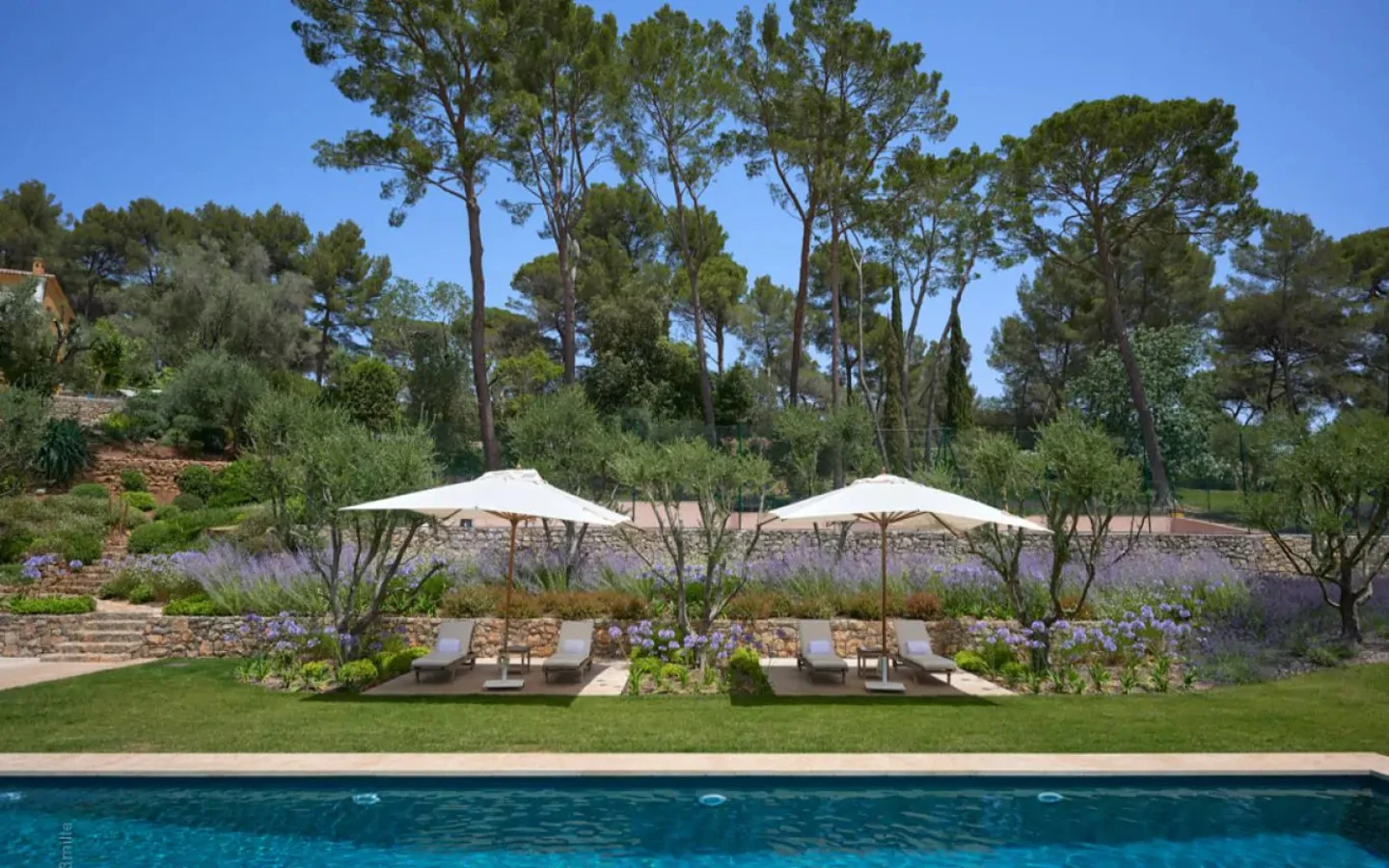 The  Martin Château