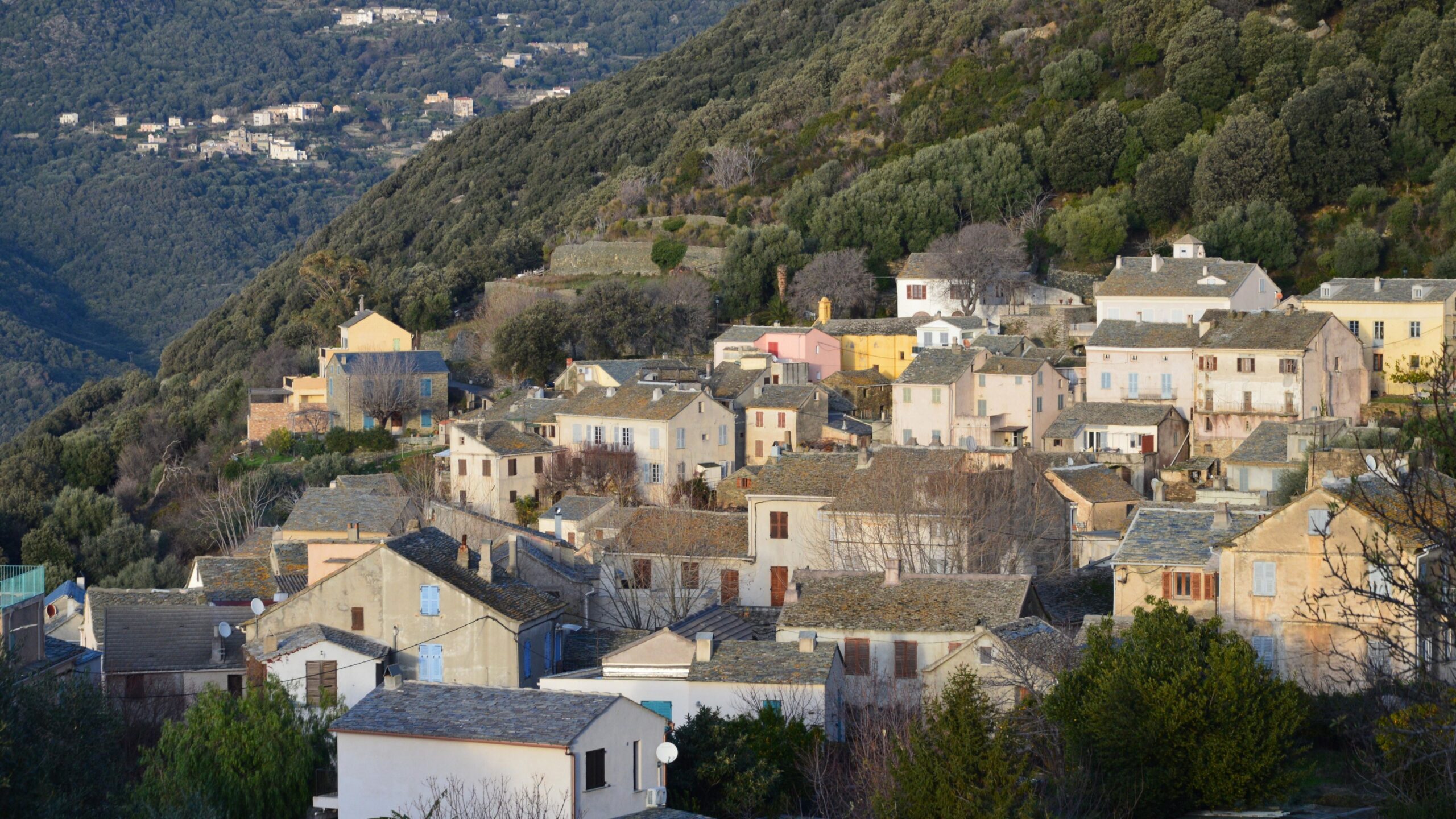 Colombier
