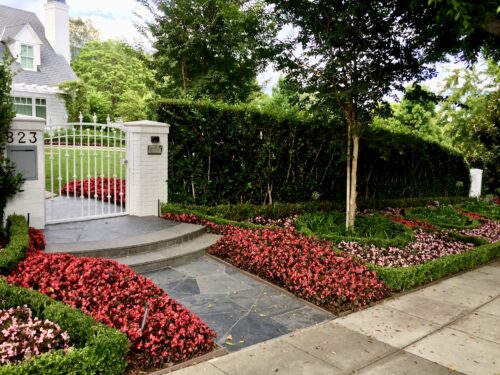 The Cinthia Villa