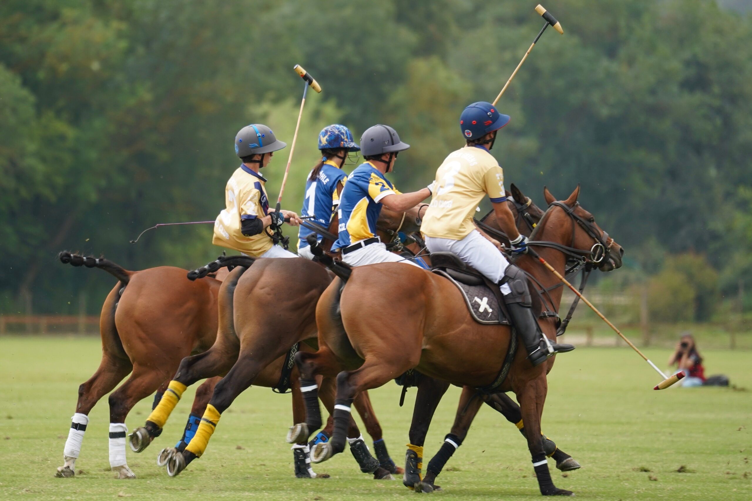 Polo Masters Megève