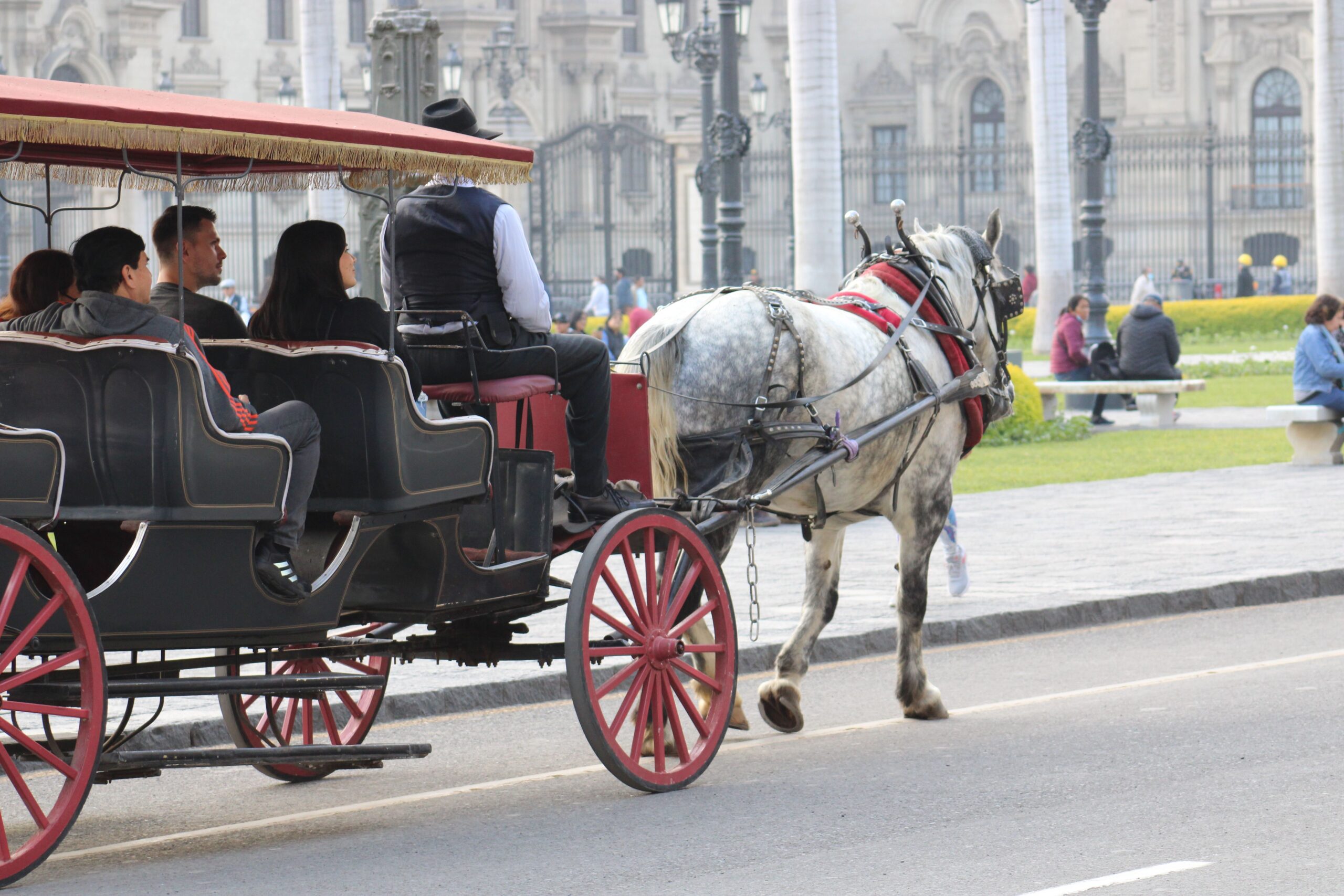 Horse-Drawn Carriage Rides
