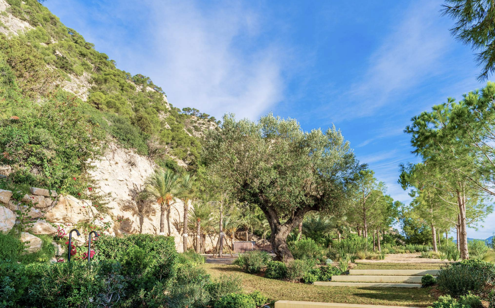 The Ischia Villa