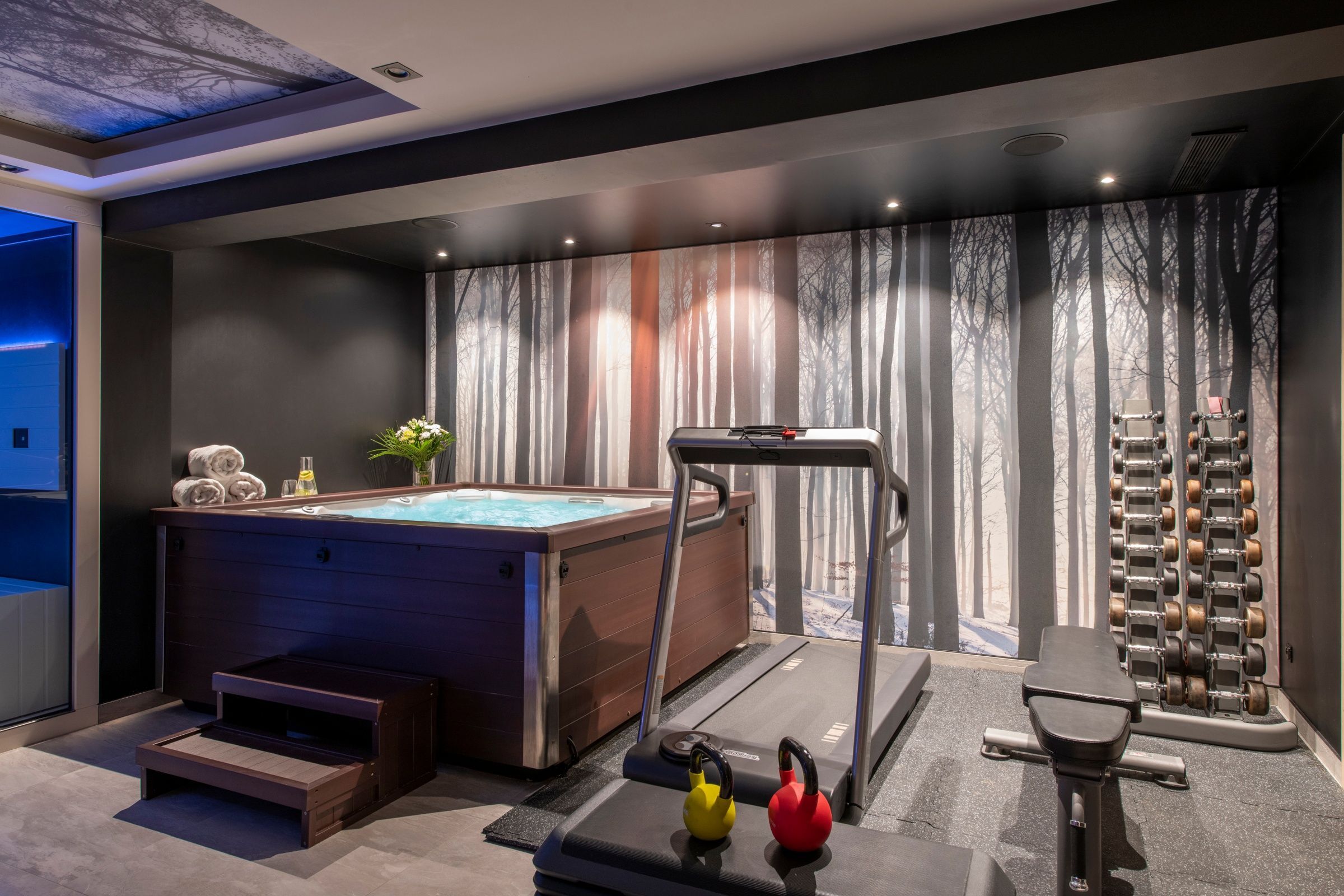 Chalet Altius